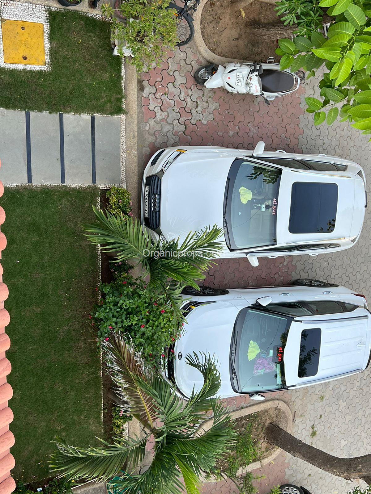 WhatsApp Image 2022-12-10 at 120221210133348633.jpeg